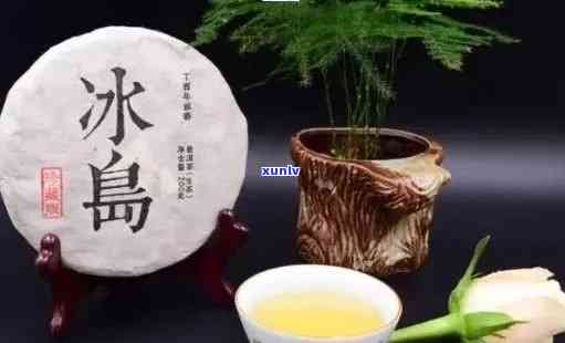 冰岛古树茶竹筒生茶：源自纯净冰岛，滋味独特的普洱佳品