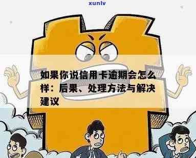 关于信用卡逾期问题的有效处理建议