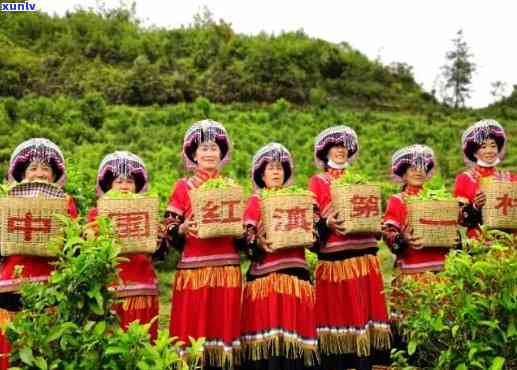 云南凤庆原产地红滇红茶：中国红茶的新标杆