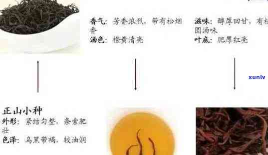 滇红茶叶的分类、 *** 工艺及品饮技巧：全面了解这种中国红茶