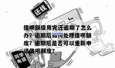 信用卡逾期申请借呗怎么办？逾期后如何重新获得信用额度？