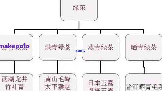 全面了解绿色食品普洱茶排名：从知名度到口感，一次搞定！