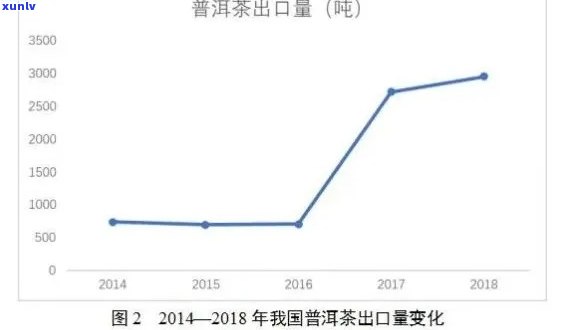 普洱茶对比分析：全面解析市场现状与消费者需求