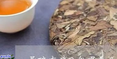 痛风能喝普洱茶茶吗