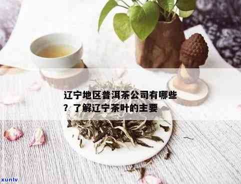 辽普洱茶加盟 *** 公司：沈阳茶叶行业翘楚，无费用 *** ，排行榜领先