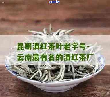 昆明滇红茶叶老字号