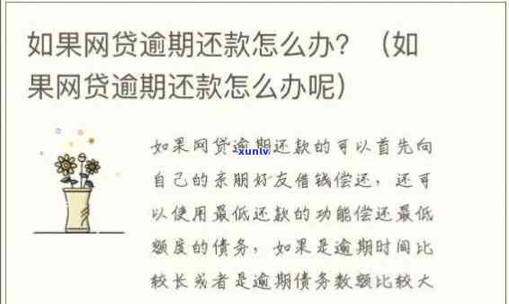 全面逾期后反而轻松？网贷信用卡逾期现象解析