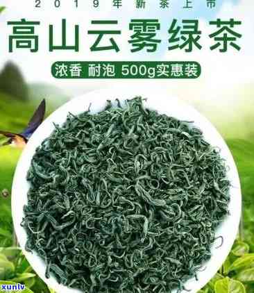 高山优质云雾茶批发价格及图片参考