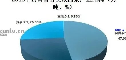 州普洱茶市场：品种、价格、购买地点和品尝技巧全面解析