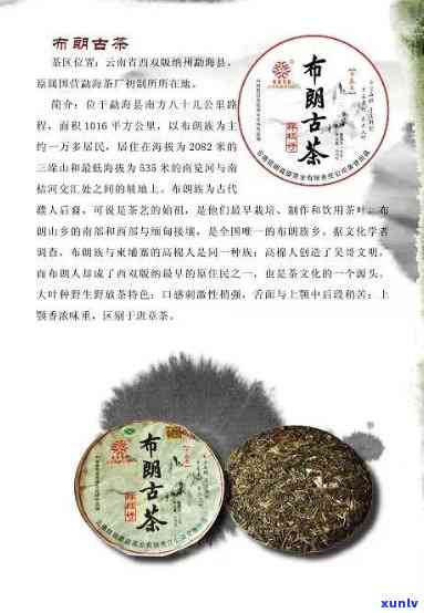 普洱的介绍资料：云南普洱茶特色与文化，全方位了解！