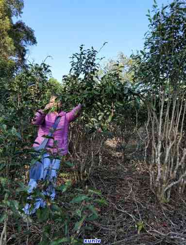 农行信用卡逾期问题全面解决指南：原因、处理 *** 和预防措一文解析