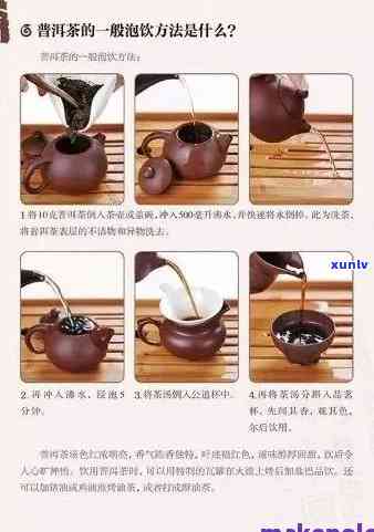 一人独享的普洱茶品鉴：完整套装茶具解析与使用指南