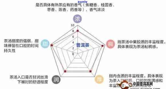 探究普洱熟茶口感、香气与品质：一份全面指南