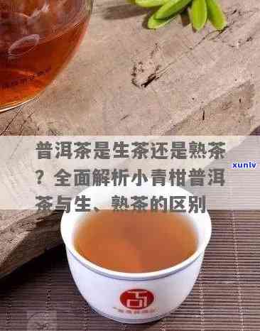 普洱青茶和生茶区别是什么？