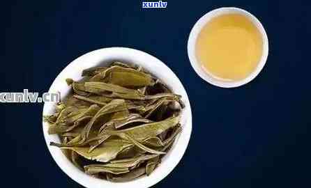 深入解析普洱茶与青茶：两者之间的区别与联系