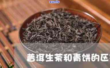 普洱青茶和生茶区别