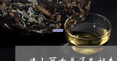 江门可靠普洱茶招商