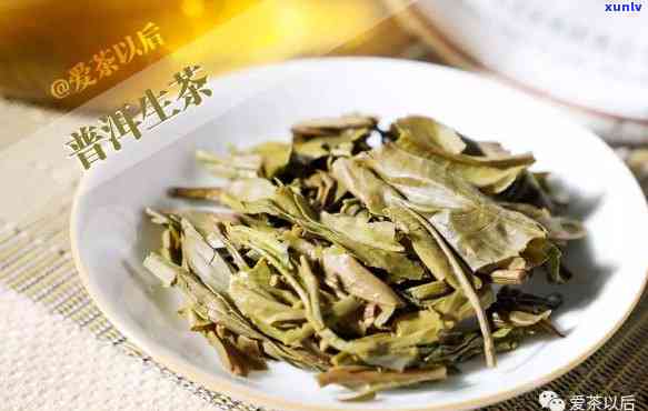 冰岛茶区的独特普洱茶：生熟之辨