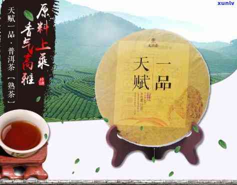 天工品普洱茶招商