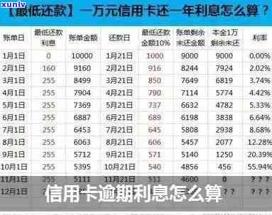 2019年信用卡逾期报告