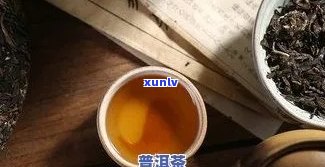 喝普洱茶的性格特征与品味分析