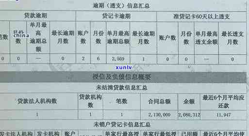 创建信用卡逾期记录模板，详细了解操作步骤与证明文件要求