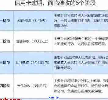 小贷和信用卡逾期哪个严重：处理策略与优先级分析