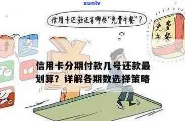 新 *** 和信用卡逾期还款策略：优先还款哪个更合适？