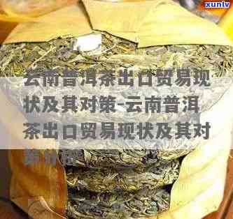 云南普洱茶的国际贸易现状分析及应对策略