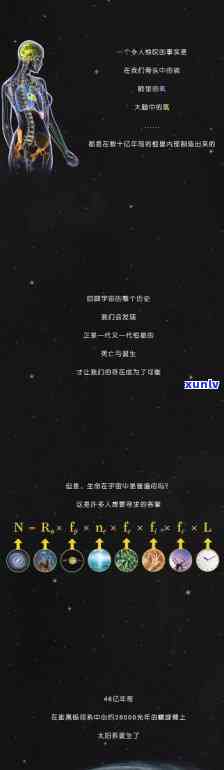 翡翠战争：从逐光启航到全面胜利的探索与解析