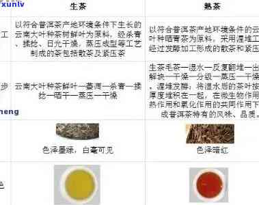 普洱茶竞品分析：全面了解各类茶叶的优劣与市场表现