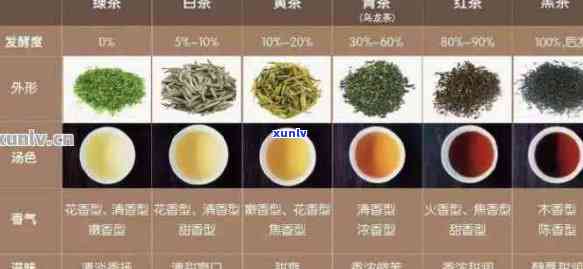 深入解析普洱茶中的红茶与绿茶成分差异，揭示两者独特的口感魅力