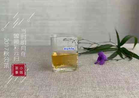 普洱红茶的纯正分类：属于红茶还是普洱茶？