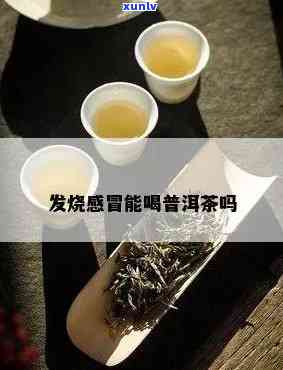 感冒能喝普洱茶水吗