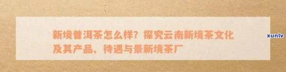 新境普洱茶云南加盟条件及官网详情