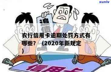 '2020年农行信用卡逾期新法规：解读与影响'