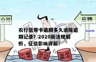 '2020年农行信用卡逾期新法规：解读与影响'