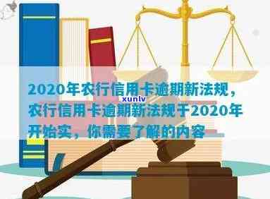 '2020年农行信用卡逾期新法规：解读与影响'