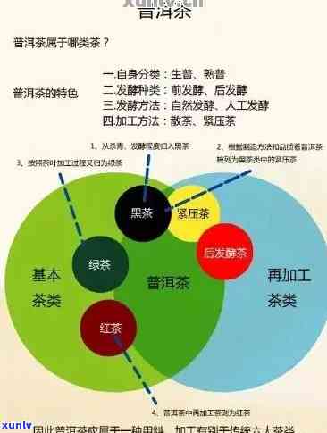 普洱茶行业盈利模式分析：如何成功加盟并实现持续增长