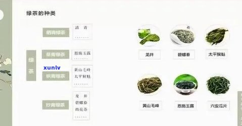 绿色普洱茶：品种、 *** 工艺、功效与泡法全面解析与推荐