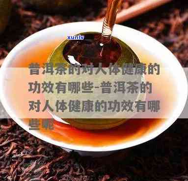 探究普洱茶的多元化成分及其对人体健的益处