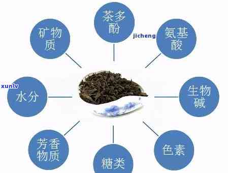 常规普洱茶成分分析