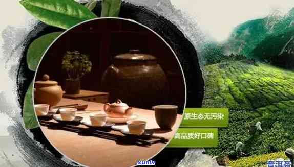 '南普洱茶渠道招商：一站式解答您的加盟、 *** 、合作及投资问题'