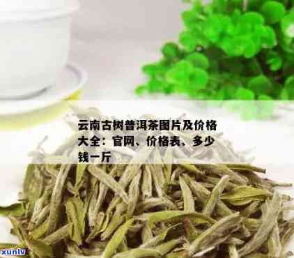 广州优质普洱茶：云南古树茶厂家批发价格大全