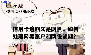 网黑逾期办信用卡