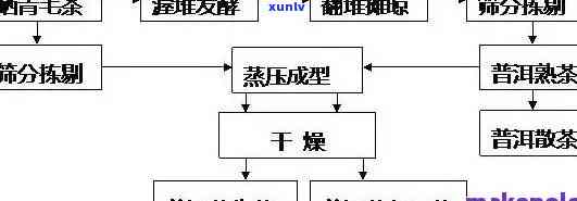 普洱茶的全方位理化分析 *** 及其应用：从样品制备到结果解读