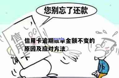 信用卡逾期账单不涨金额原因及解决 *** ：怎么回事？