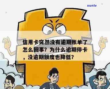 信用卡逾期账单问题解决：为何额度不变，如何避免金额增加？