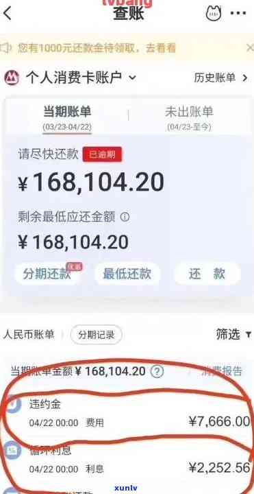 信用卡逾期账单不涨金额