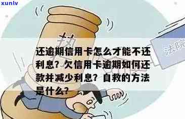 逾期信用卡还款全攻略：最有效的补救 *** 揭秘